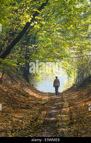 Eine Frau, die zu Fuß über einen Waldweg im Herbst Stockfoto