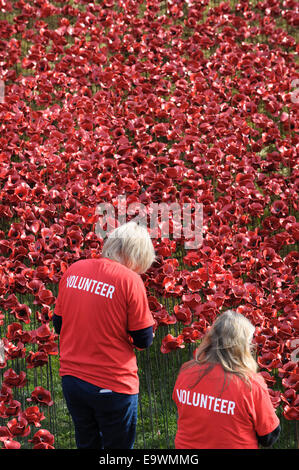 Großbritannien, England, London. Freiwillige arbeiten, um ein Meer aus Keramik Mohnblumen auf den Tower of London zu schaffen, zum Gedenken an die Hundertjahrfeier WW1 Stockfoto