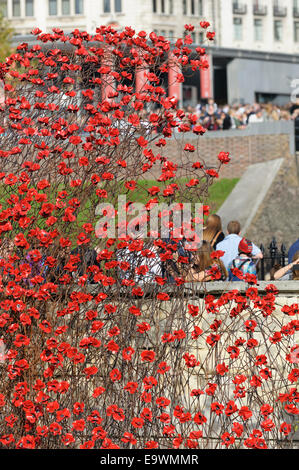Großbritannien, England, London. Besucher bewundern das Meer der Keramik Mohnblumen in den Tower of London zum Gedenken an die Hundertjahrfeier des 1. Weltkrieges. Stockfoto