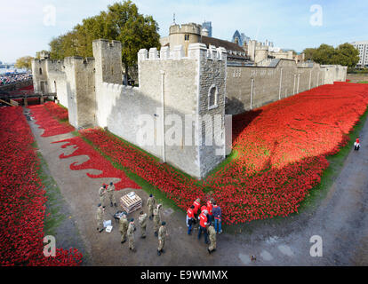 Großbritannien, England, London. Freiwillige erstellen ein Meer aus Keramik Mohnblumen in den Tower of London, das hundertjährige Jubiläum des 1. Weltkrieges zu gedenken. Stockfoto