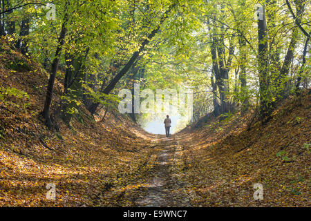 Eine Frau, die zu Fuß über einen Waldweg im Herbst Stockfoto