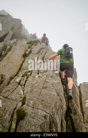 Scrambler am Nordgrat Tryfan Snowdonia Wales Stockfoto