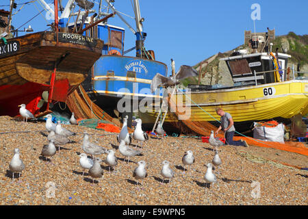 Möwen am Strand und ein Fischer dazu neigt seine Netze durch die Fischerboote auf Hastings alte Stadt Stade East Sussex England GB UK Stockfoto