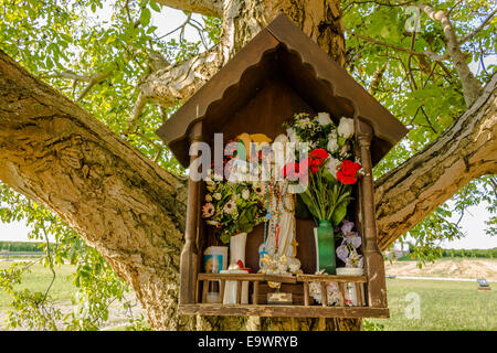 Votiv AEDI-gewidmet der Jungfrau Maria auf einem Baum in der Nähe der mittelalterlichen Landschaft Kirche Campanile befindet sich in der Ortschaft Santa Maria in Fabriago in der Region Emilia-Romagna in Norditalien Stockfoto