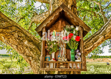 Votiv AEDI-gewidmet der Jungfrau Maria auf einem Baum in der Nähe der mittelalterlichen Landschaft Kirche Campanile befindet sich in der Ortschaft Santa Maria in Fabriago in der Region Emilia-Romagna in Norditalien Stockfoto