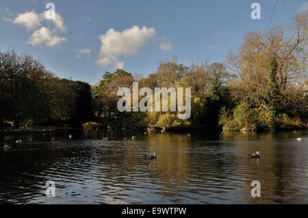 Blick auf Teich innen St Stephens Park, Dublin, Irland Stockfoto