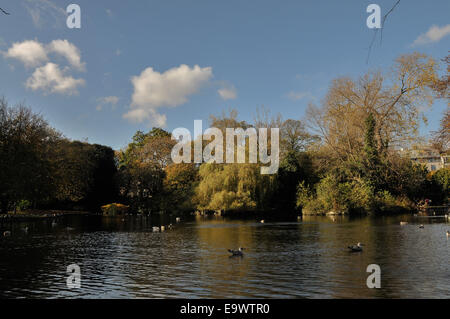 Blick auf Teich innen St Stephens Park, Dublin, Irland Stockfoto