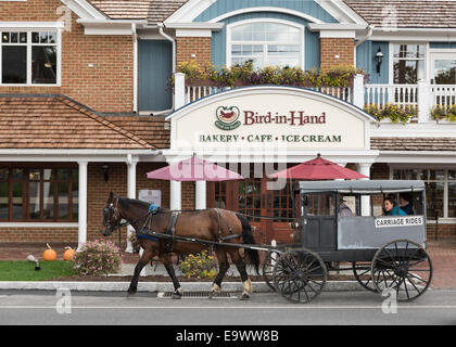 Pferd gezeichneten Buggy fahren, Vogel in der Hand, Lancaster, Pennsylvania, USA Stockfoto