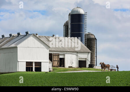 Amische Landwirt Anhängekupplungen eine Drwan Pferdewagen auf seinem Hof, Gordonville, Lancaster, Pennsylvania, USA Stockfoto