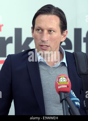 Köln, Deutschland. 3. November 2014. Leverkusens Trainer Roger Schmidt gibt ein Interview auf dem Flughafen in Köln, Deutschland, 3. November 2014. Leverkusen spielt Zenit St. Petersburg 4. November 2014. Foto: FEDERICO GAMBARINI/Dpa/Alamy Live News Stockfoto