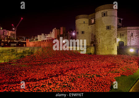 Tower von London Mohn in der Nacht Stockfoto