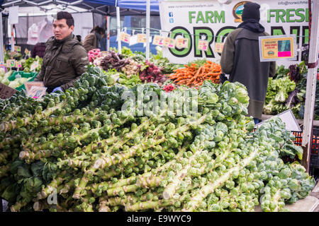 Bio Rosenkohl in der Union Square Greenmarket auf Samstag, 1. November 2014. (© Richard B. Levine) Stockfoto
