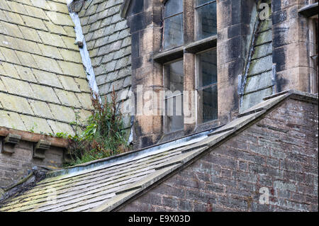 Verstopfte Dachrinnen und Fallrohre in einem verlassenen viktorianischen Gebäude, UK Stockfoto