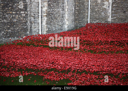 Ein Meer von roten Mohnblumen säumen den Burggraben am Tower of London Stockfoto