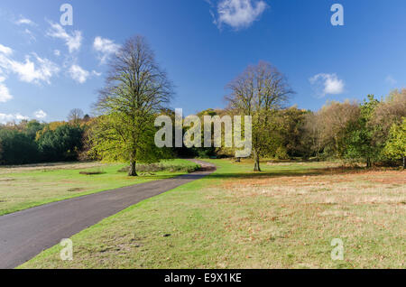 Blick auf Sutton Park in der Nähe von Birmingham an einem sonnigen Herbsttag Stockfoto