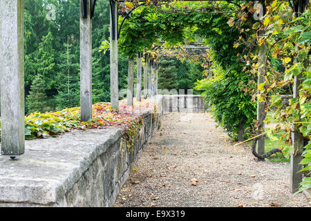 englischer Garten im Herbst mit Pergola Pflanzen und Felsen zu sitzen Stockfoto