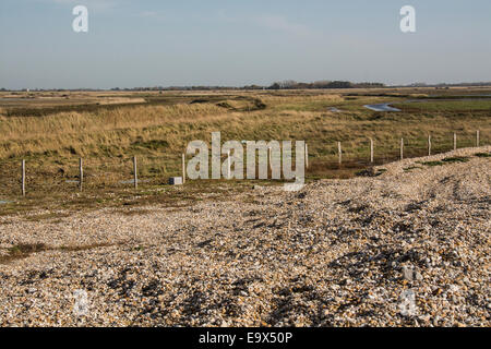 Medmerry RSPB Reserve, West Sussex, UK. Die Reserve ist in erster Linie als ein Hochwasserschutz, Schutz von mehr als 300 Häuser abgeschlossen Stockfoto