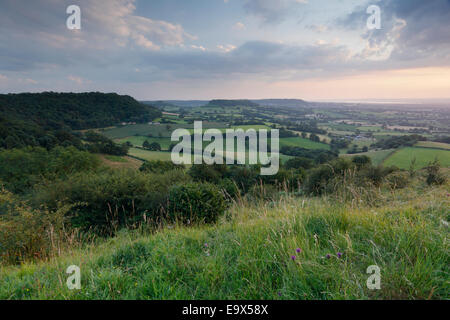 Blick vom Frocester Hill in der Coaley Peak Nature Reserve, in Richtung Cam lange nach unten. Die Cotswolds, Gloucestershire, UK. Stockfoto
