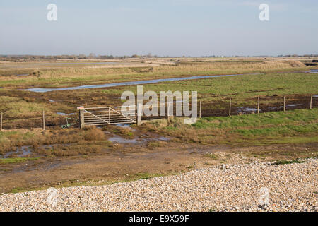 Medmerry RSPB Reserve, West Sussex, UK. Die Reserve ist in erster Linie als ein Hochwasserschutz, Schutz von mehr als 300 Häuser abgeschlossen Stockfoto