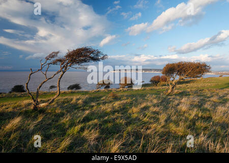 Blick vom Brean unten in Richtung Weston-super-Mare. Somerset, England, Vereinigtes Königreich. Stockfoto