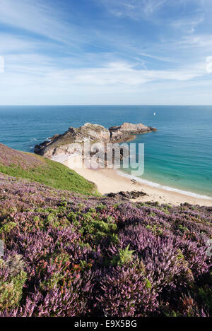 Cap Fréhel an der Cote de Penthièvre. Côtes d ' Armor, Bretagne, Frankreich. Stockfoto