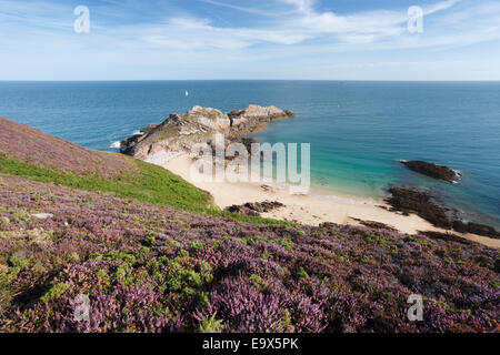 Cap Fréhel an der Cote de Penthièvre. Côtes d ' Armor, Bretagne, Frankreich. Stockfoto