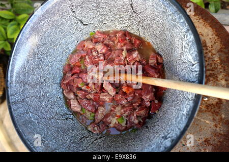 Ungarische Gulasch in einem Kessel, Bogracs, im Garten - Kochen des Fleisches Stockfoto