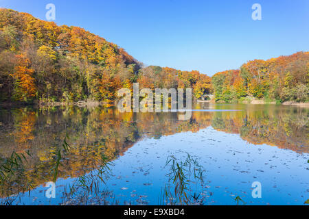 Bunte Herbstlandschaft mit Reflexion in einem See. Stockfoto