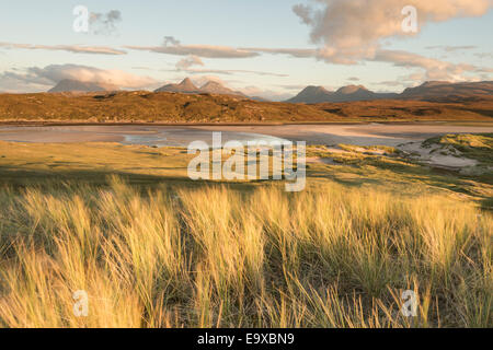 Sonnendurchflutetes Gras- und Dünen an der Achnahaird Bucht und die Berge von Assynt, Nord-West-Schottland Stockfoto