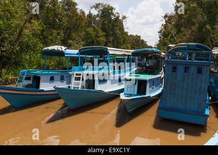 Fluss Boote sekonyer River Provinz Kalimantan  Borneo 