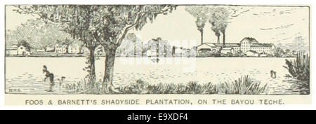 Eine Skizze aus Louisiana aus dem Jahr 1891, die Foos & Barnett's Shadyside Plantation entlang der Bayou Teche zeigt und die landwirtschaftlichen und regionalen Merkmale der Plantage während der Zeit hervorhebt. Stockfoto