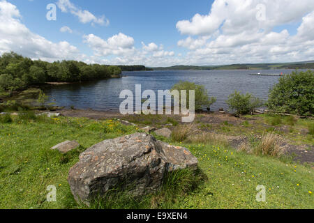 Kielder See, Northumberland. Malerische Frühsommer Blick auf Kielder Seeufer am Turm Knowe. Stockfoto