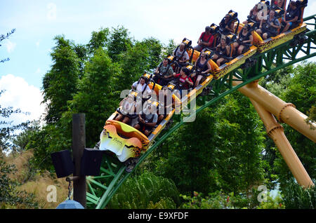 Der Cheetah Jagd Reiten in Busch Gardens in Tampa, Florida, USA Stockfoto