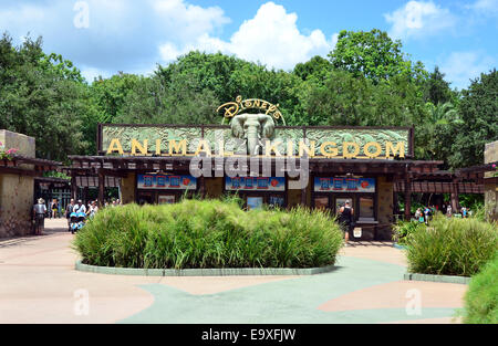 Eingang zum Disneys Animal Kingdom im Walt Disney World Resort, Orlando, Florida Stockfoto