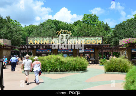 Eingang zum Disneys Animal Kingdom im Walt Disney World Resort, Orlando, Florida Stockfoto