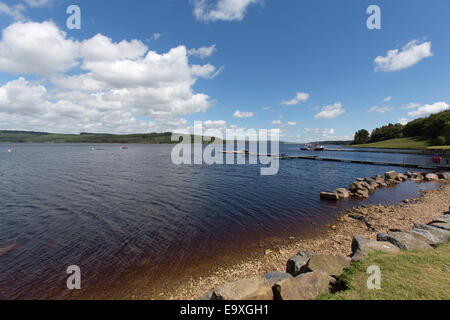 Kielder See, Northumberland. Malerische Aussicht auf Kielder Seeufer am Leaplish Ufer Park. Stockfoto