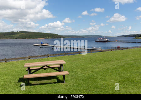 Kielder See, Northumberland. Malerische Aussicht auf Kielder Seeufer am Leaplish Ufer Park. Stockfoto