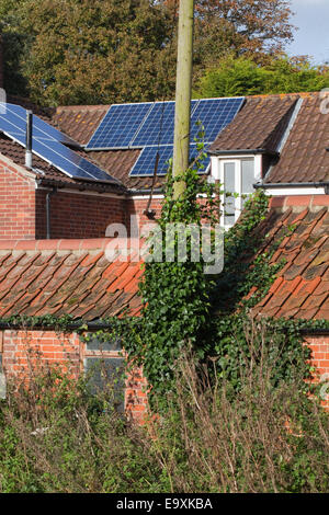 Efeu (Hedera Helix). Klettern und eine Stromleitung vertuschen unterstützen Post Links, breiten sich über Flachdachziegel Dach und Dachrinnen zu blockieren Stockfoto