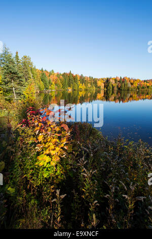 Spektakuläre, bunten Herbst Landschaft in Mont-Tremblant Nationalpark-Kanada. Stockfoto