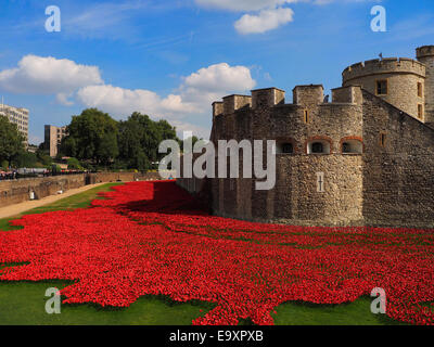 Rote Mohnblumen Kunst Installation auf den Tower of London Graben zum Gedenken an den ersten Weltkrieg Stockfoto