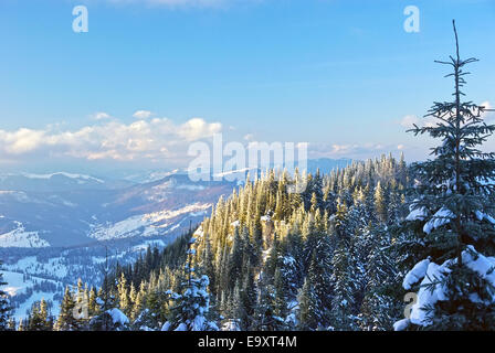 Berg-Winterlandschaft in den rumänischen Karpaten. Stockfoto