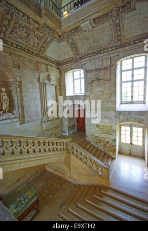 Schöne Treppe in das Schloss von Blois. Stockfoto