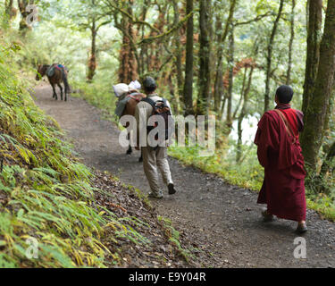Zwei Männer gehen auf einem Feldweg in einen Wald, Tango-Kloster, Thimphu, Bhutan Stockfoto