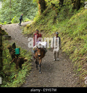 Zwei Männer gehen auf einem Feldweg in einen Wald, Tango-Kloster, Thimphu, Bhutan Stockfoto