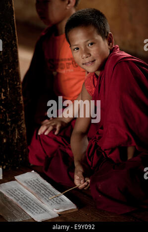 Mönche Studium an Chimi Lhakhang, Punakha Bezirk, Bhutan Stockfoto