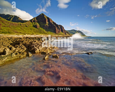 Küste bei Ka'ena Point State Park, Oahu, Hawaii, Vereinigte Staaten von Amerika Stockfoto