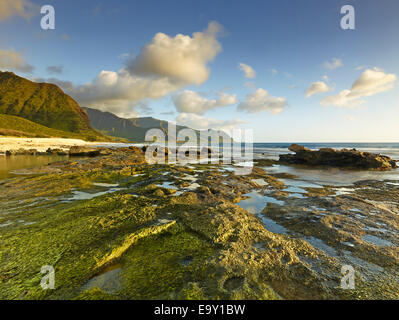 Der Strand am Ka'ena Point State Park, Oahu, Hawaii, Vereinigte Staaten von Amerika Stockfoto