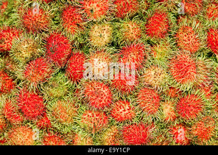 Stäbchen (Nephelium Lappaceum) für den Verkauf auf einem Markt, Chiang Mai, Thailand Stockfoto
