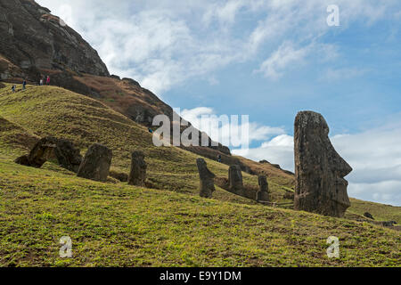 Gruppe der Moai, die Körper in der Erde vergraben sind, die Köpfe sind nur sichtbar, Rano Raraku, Osterinsel, Chile Stockfoto