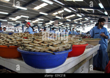 Garnelen im Verkauf auf dem Fischmarkt von Deira in Dubai, Vereinigte Arabische Emirate Stockfoto